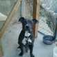 en esta tenia 8 meses le Bobbye
